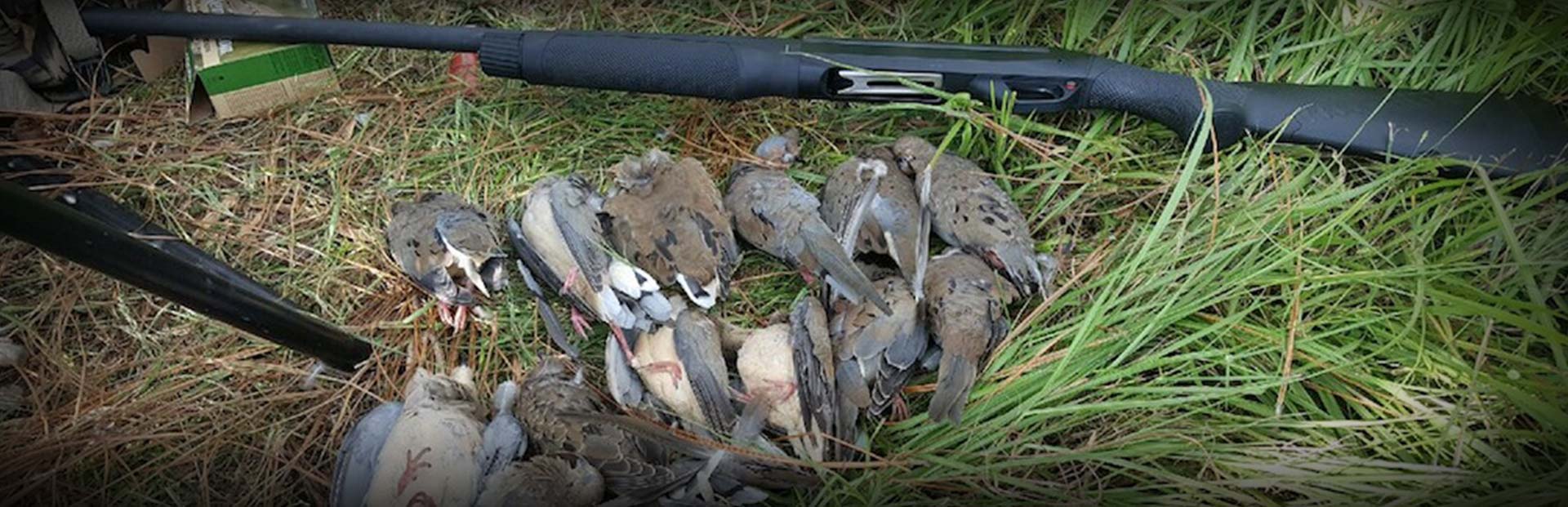 Florida Turkey Hunts