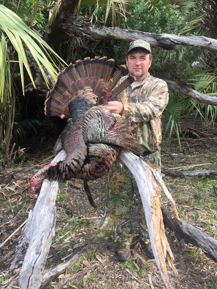 Osceola Turkey Hunting In Florida Little Lake Lodge