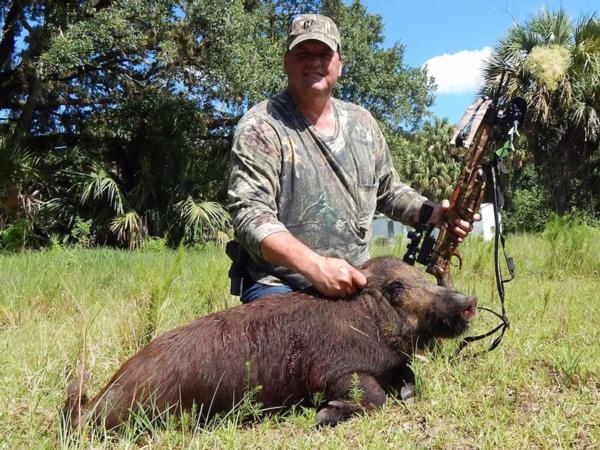 Wild Hog Bow Hunting In Florida